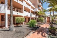 Royal Blue Terracotta Airco Heated Pool - Bed and Breakfast San Miguel De Abona