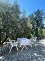 Holiday House Bribir - B&B Bribir