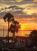 This could be your view every night of your stay!! Cozy, comfy remodeled condo! - B&B Tampa