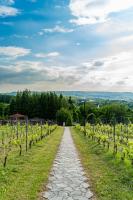 Domki Winnica Maria Anna - B&B Wyżne