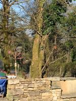 Cedar Lodge-Cabin in the Glen - B&B Omagh