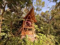 Alasari Hidden Bamboo Retreat in the Jungle - B&B Banjar Seribatu