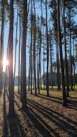Ostoja Mostki - Domek nad Siemianówką - B&B Łuka