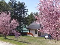 Kuća za odmor Lavanda - B&B Sirogojno