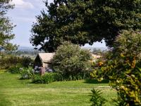 Mount Park Guest Farm - B&B Driekuil