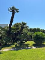 Villa Con Accesso Diretto Al Mare - B&B Terracina