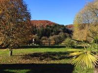 Maison charmante au cœur d'Alligny-en-Morvan avec vue - B&B Alligny-en-Morvan
