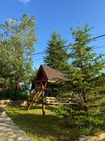 Pensiunea Pusu - B&B Rânca