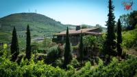 Charming Villa with Private Pool in Lamego - B&B Lamego