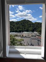 Zora Apartment with Grandhotel Pupp view - B&B Karlovy Vary