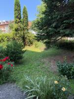 Analea - B&B Vrnjačka Banja