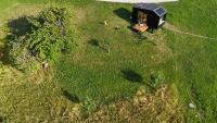 Unbound Alpine Cabin at Hof Mulin - Ferienwohnung Ilanz