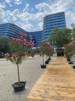 Luxury by White Titanic Breeze - B&B Năvodari