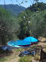 Casarovear paradise in olive yard ! - B&B Casa Veragne
