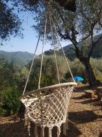 Casarovear paradise in olive yard ! - B&B Casa Veragne