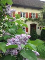 B&B Schondorf am Ammersee - Haus Probst am See - Bed and Breakfast Schondorf am Ammersee