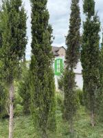 Sunset Garden Apartment 1 - B&B Bilajer