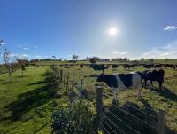 The Milkmans Shack - B&B Dunorlan
