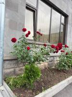 Elen Apartment Goris - B&B Goris