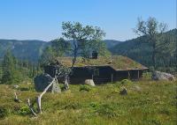 Authentic Secluded Mountain Gem in Telemark - B&B Smørklepp