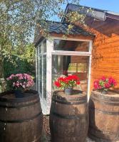 Gortin Glen Forest Cabin Sleeps 7 with Parking - Bed and Breakfast Omagh