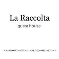 La Raccolta - B&B Scheggino