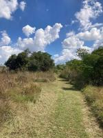 Wild Olive Eco Park - B&B Cullinan