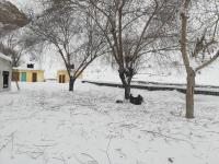 Middleland homestay kaza - Chambres d'hôtes Kāza