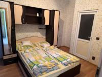 Apartament cu 2 Camere cu Băi Private Bucatarie Comună - B&B Băile Herculane