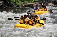 The Perch Glamping by Rafting - B&B Cosby