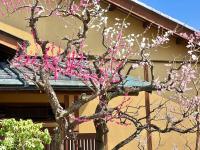 宿坊 南アルプス法源寺 - Chambres d'hôtes Minami-Alps
