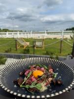 Agroturystyka Myślinów - Black Horse Bar&Grill - Chambres d'hôtes Męcinka