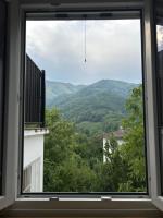 Single Room with Shared Bathroom