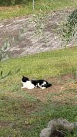Villa Adele - Bed and Breakfast Fossalta di Piave