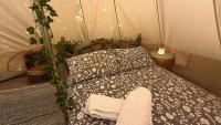 Apple Tree glamping near Brighton - B&B Saltdean