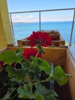The Yellow House - B&B Ahtopol