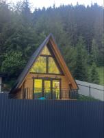 Лісова Хатинка 1 - B&B Synevyrska Poliana