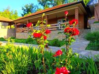 Vila Vera Borsko Jezero - Chambres d'hôtes Bor