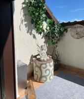 Gemütliche Wohnung im Zentrum von Seligenstadt Nähe Aschaffenburg und Frankfurt - B&B Seligenstadt