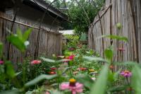 Honey Home Pai - Ferienwohnung Pai
