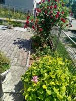 Amor-Dream - B&B Bihać
