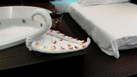 S O P H I A room by 50 shades - B&B Baia Mare