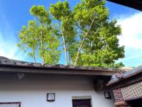 Kinmen Jinyuge Heritage B&B- Shuitou Minnan Village - Chambres d'hôtes Xiashu