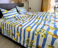 Apfelblüte - Ferienwohnung Stockach