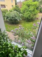 Apartament Wołoska - Bed and Breakfast Warschau