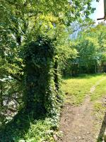 Niza Apartment - B&B Bordshomi
