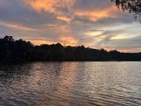 Clearwater Golden Escape on Lake Hamilton condo - Ferienwohnung Hot Springs