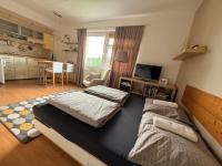 Jánské Lázně Studio Darkmine by the cable car - B&B Trutnov