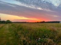 Hyggelig ferielejlighed v/ Blokhus - B&B Pandrup