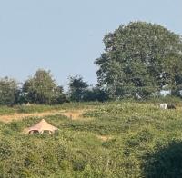 Sunset and birdsong - B&B Hereford